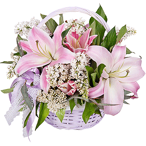 Refinement with delivery Yaroslavl