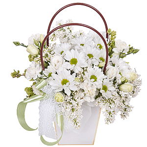 Dew drop with delivery Yaroslavl