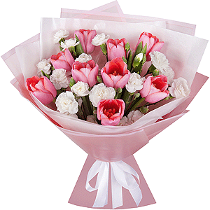 Pink tulip - 13, White spray carnation - 8, Wrapping Paper