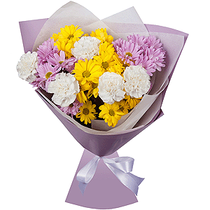Constellation Chrysanthemum with delivery Yaroslavl
