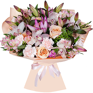 Perfect Balance with delivery Yaroslavl