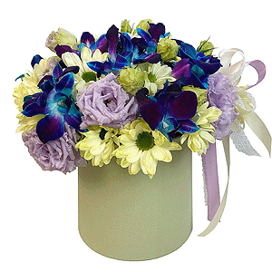 Firefly Meadow with delivery Yaroslavl