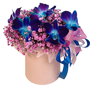 Garden of Night Fairies with delivery Yaroslavl