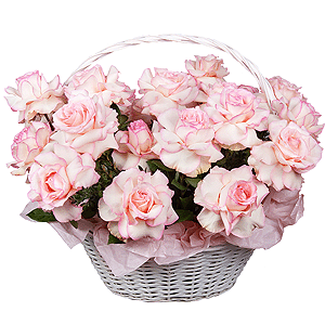 Pink Paradise with delivery Yaroslavl