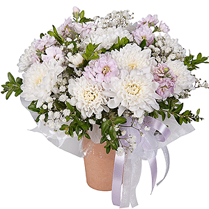 White Lace with delivery Yaroslavl