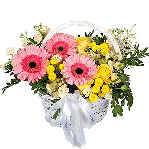 Gerbera pink - 5, Spray rose: yellow, orange 50 cm - 1, White Matthiola - 3, Santini Yellow Spray Chrysanthemum - 5, Small Basket, Oasis, Small Basket, Pistachio, Ribbon, Astilbe