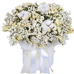 Cloud Softness with delivery Yaroslavl
