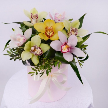 Cymbidium Orchid bud - 7, Round flower box small , Oasis, Aspidistra (1 pc.), Pistachio, Ribbon, Flask for orchids