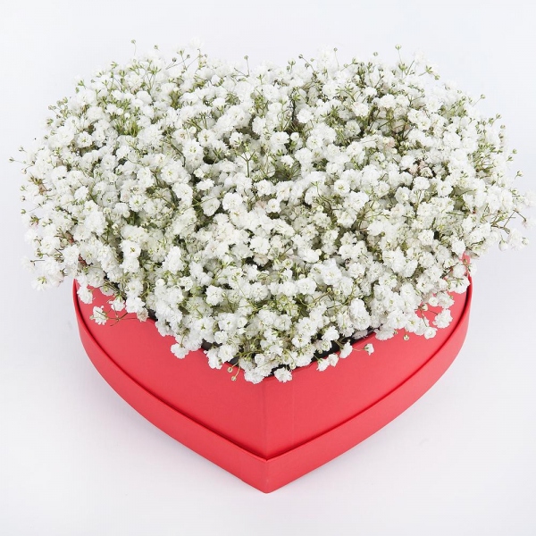 Gypsophila - 11, Heart‑shaped box for arrangements, Oasis