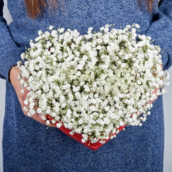 Gypsophila - 11, Heart‑shaped box for arrangements, Oasis