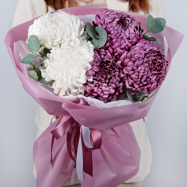 Chrysanthemum Bigoudi purple - 7, Eucalyptus, Wrapping Paper