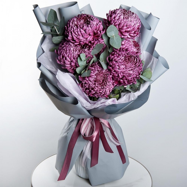 Chrysanthemum Bigoudi purple - 9, Eucalyptus, Wrapping Paper