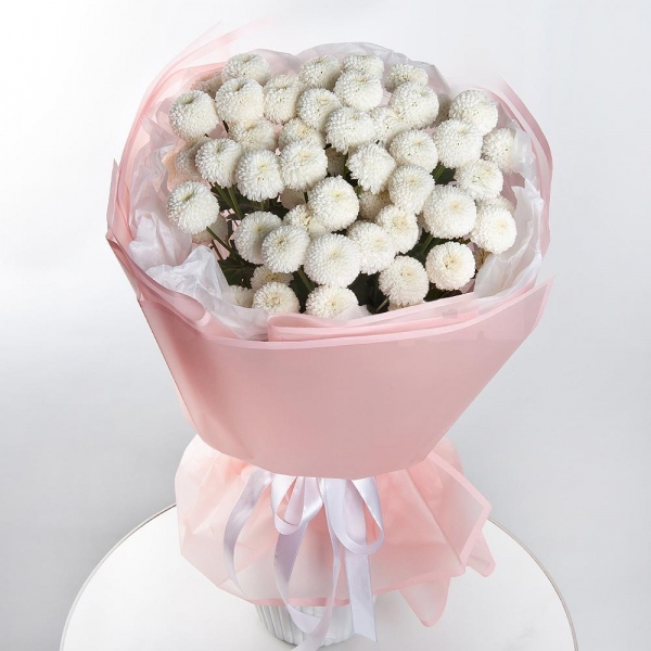 Newton White Spray Chrysanthemum - 13, Wrapping Paper