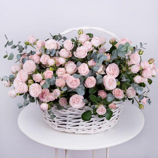 Peony sprayrose - 42, Large Basket, Oasis, Eucalyptus Cinerea
